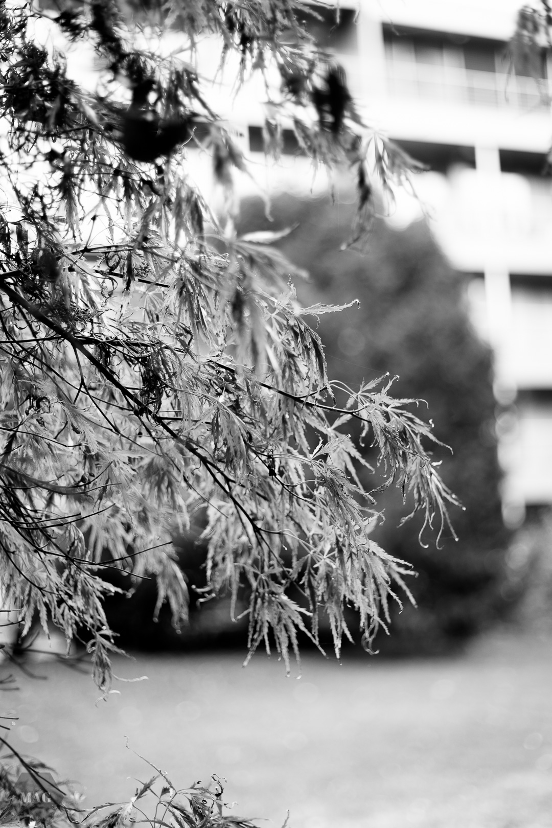 unsere zukunft, an einem strang ziehen, strang, gemeinsam, arbeiten, weg in die zukunft, nachhaltige zukunft