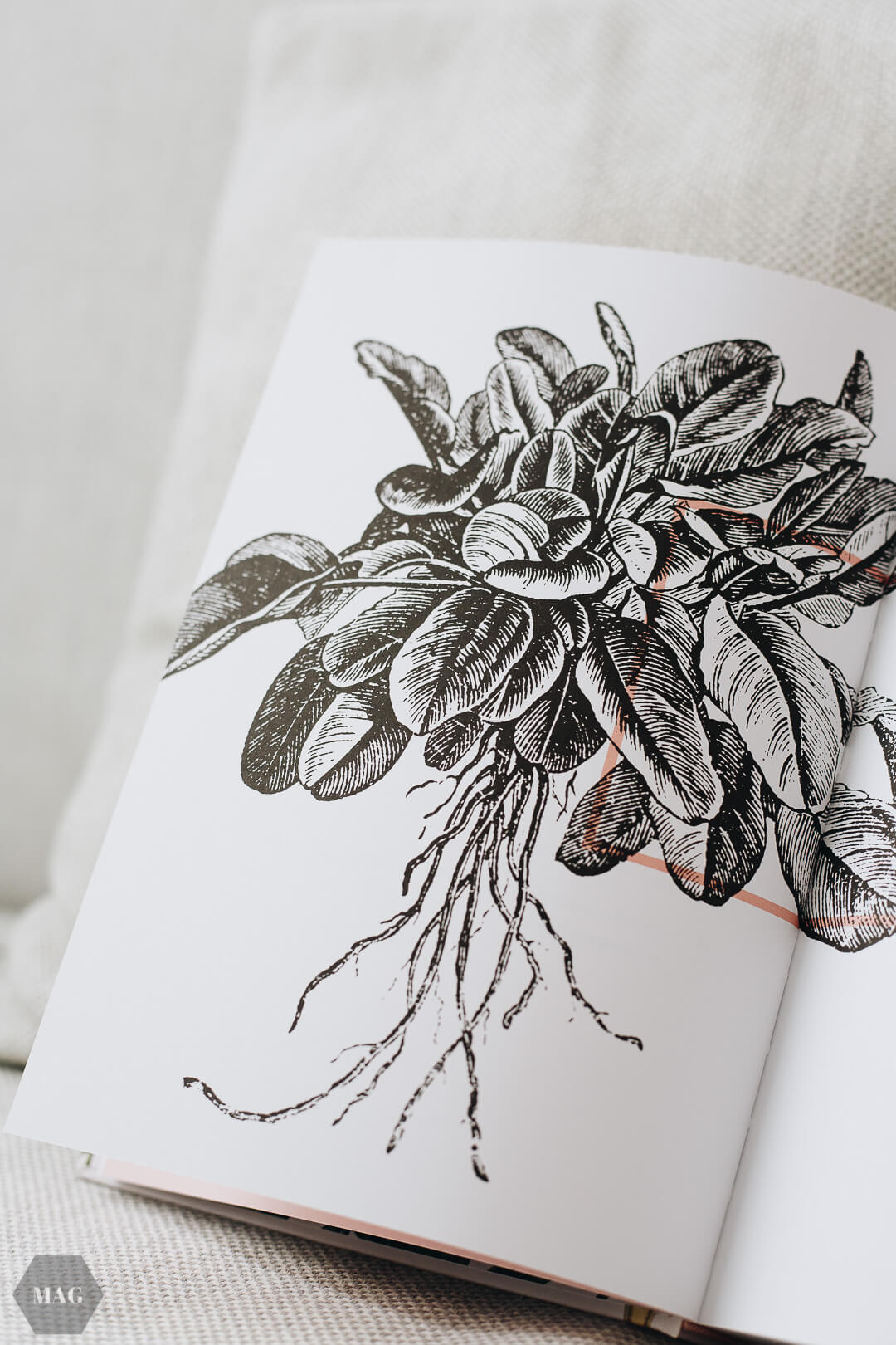 Chia Beeren Smoothie, Beeren-Chia-Smoothie, veganer Beeren-Smoothie, Johannisbeeren Chia Smoothie, Food Pharmacy Rezension, Food Pharmacy Buch, Rezension Food Pharmacy, Smoothie Beeren vegan, Smoothie Cashewmilch vegan, Beerensmoothie vegan, Chia Samen Smoothie