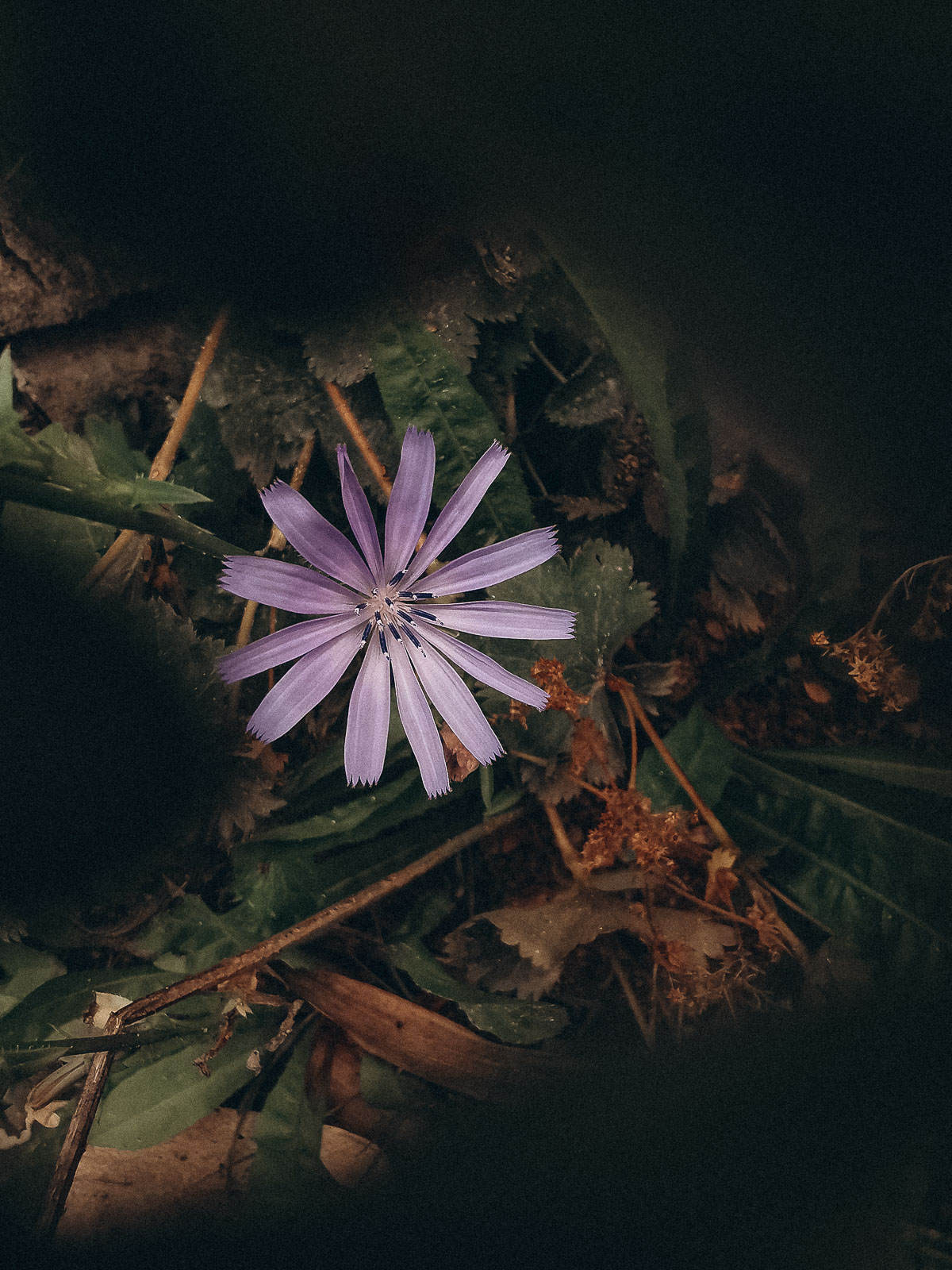 Black Friday, black week, Black Friday Kritik, Black Friday Arme, Black Friday Konsum, Black Week Konsum