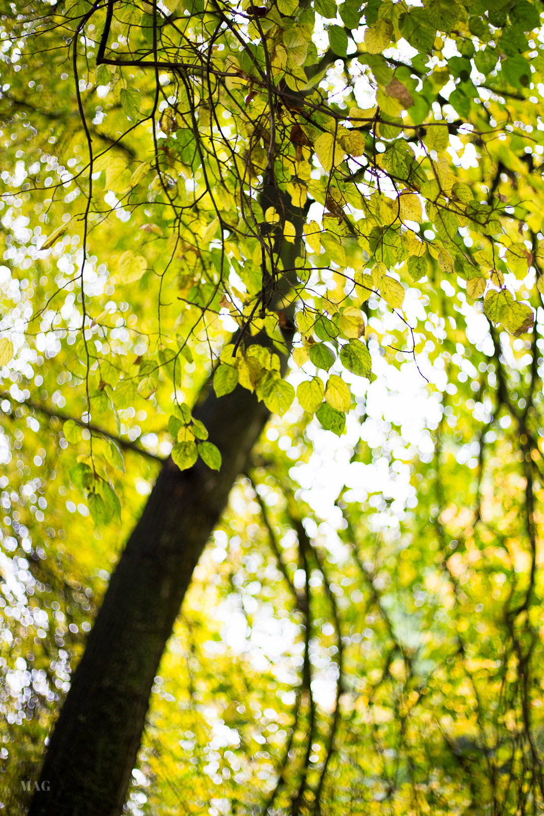 unsere zukunft, an einem strang ziehen, strang, gemeinsam, arbeiten, weg in die zukunft, nachhaltige zukunft