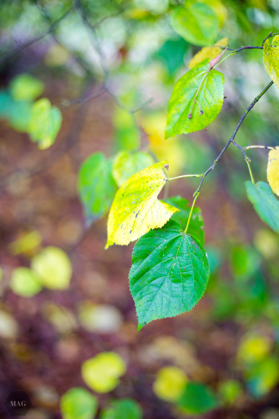 nachhaltigkeit, nachhaltig, was ist eigentlich nachhaltigkeit, grün leben, eco lifeystyle