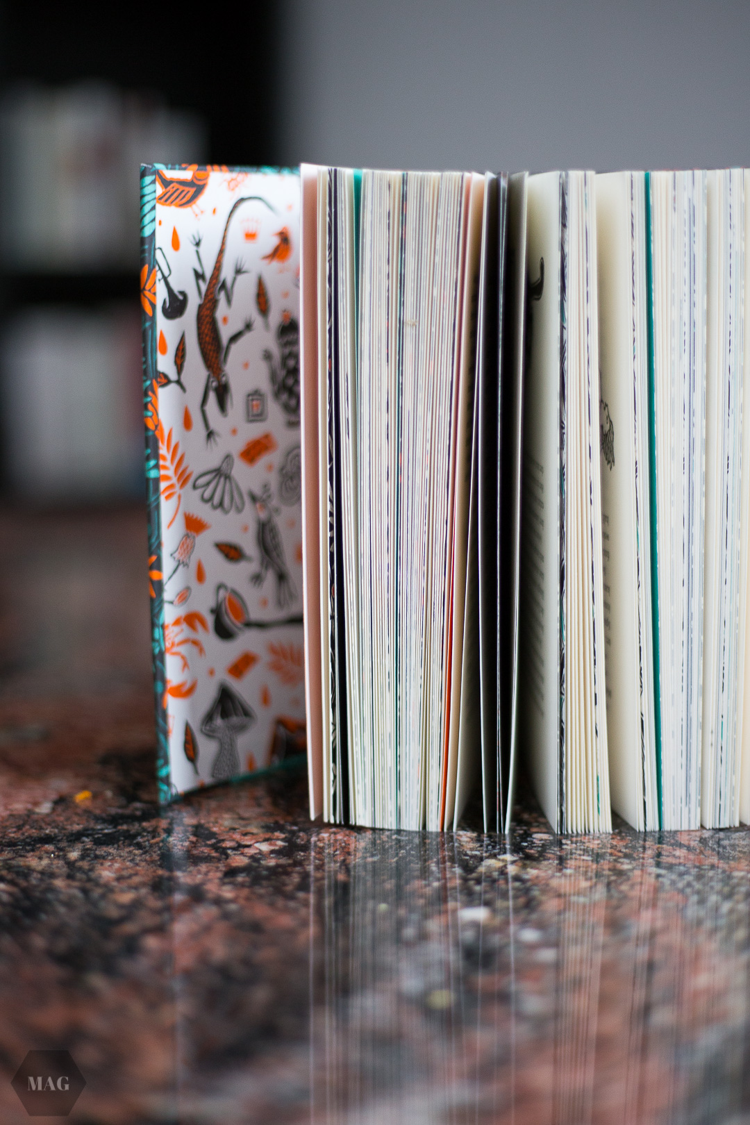 Bücher ausmisten, Ausmisten, Bücher weggeben, Bücher verschenken, Bücher reduzieren, Bücher, Bücher minimalisieren