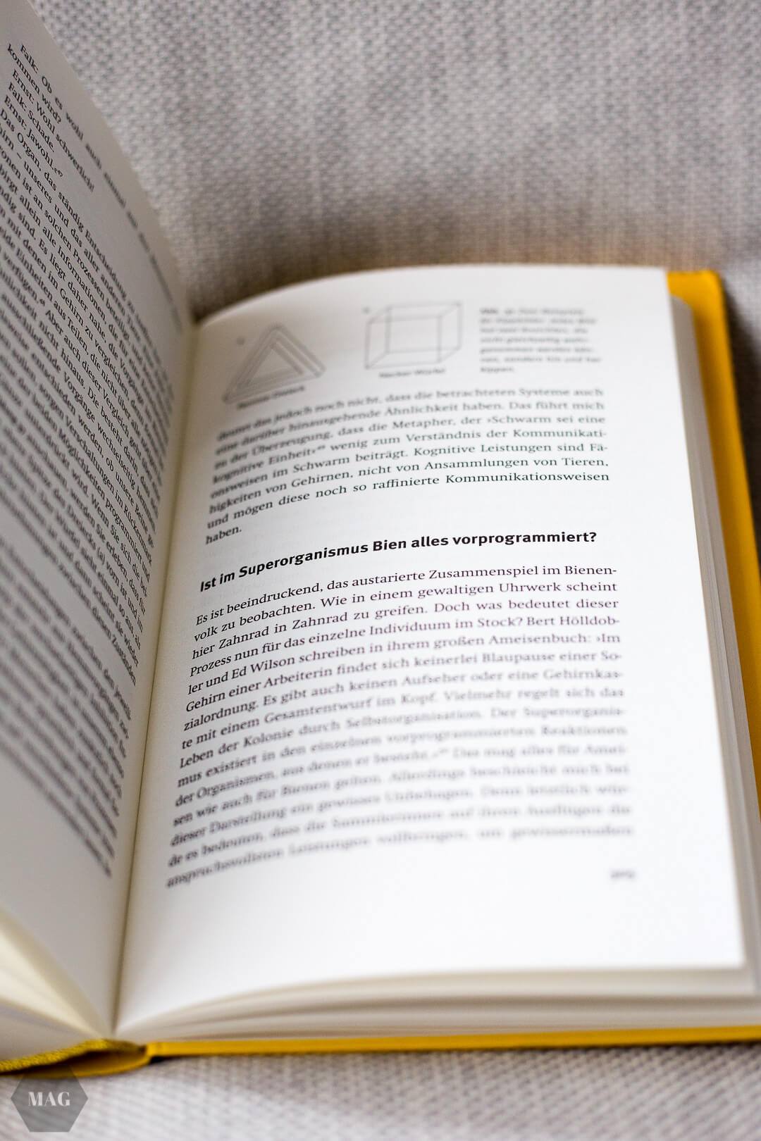 Die Intelligenz der Bienen, Bienen, Intelligenz der Tiere, Honigbienen und Intelligenz, Buch über Bienen, Bienenforschung, Honigbienen Forschung, Sachbuch Bienen, Forschung Bienen, Bienenbuch, Buch über Bienen, Sind Bienen intelligent, Können Bienen denken