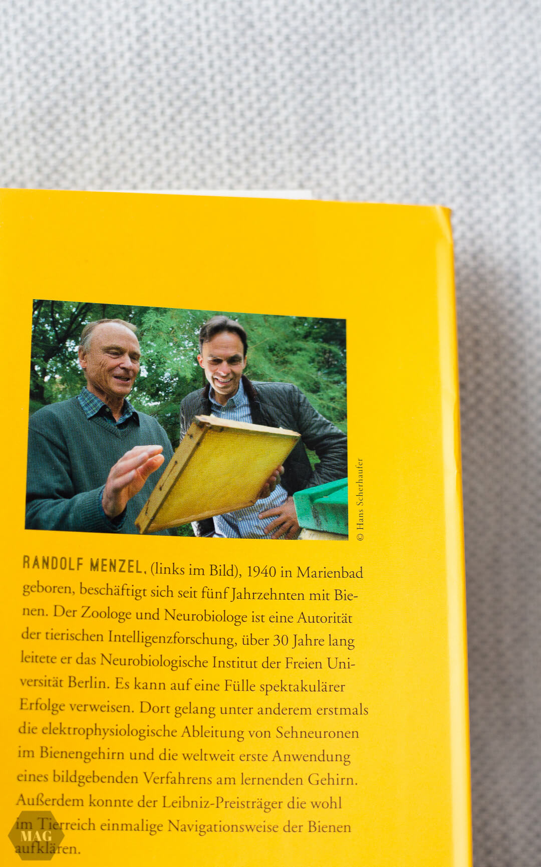 Die Intelligenz der Bienen, Bienen, Intelligenz der Tiere, Honigbienen und Intelligenz, Buch über Bienen, Bienenforschung, Honigbienen Forschung, Sachbuch Bienen, Forschung Bienen, Bienenbuch, Buch über Bienen, Sind Bienen intelligent, Können Bienen denken