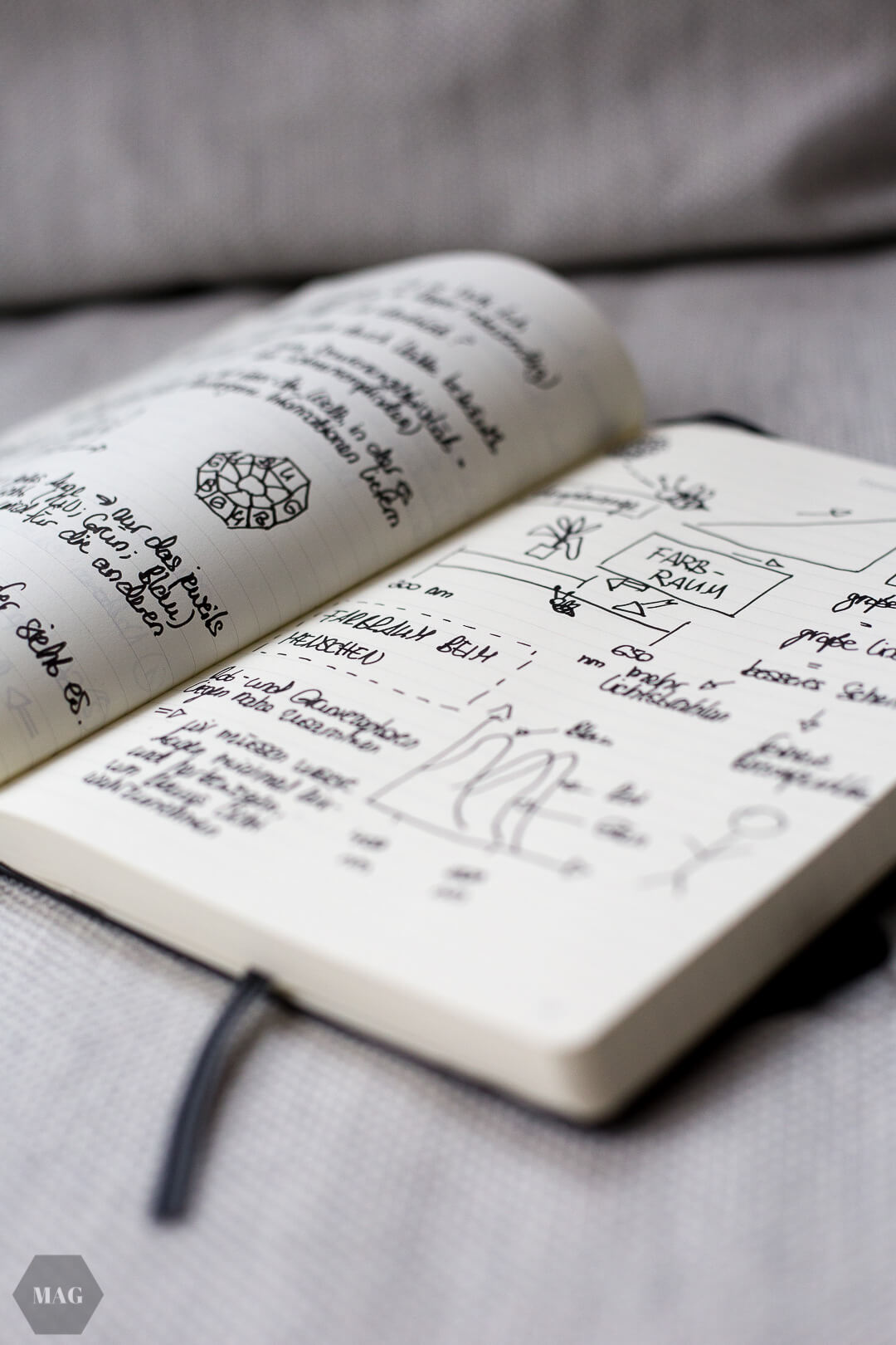 Die Intelligenz der Bienen, Bienen, Intelligenz der Tiere, Honigbienen und Intelligenz, Buch über Bienen, Bienenforschung, Honigbienen Forschung, Sachbuch Bienen, Forschung Bienen, Bienenbuch, Buch über Bienen, Sind Bienen intelligent, Können Bienen denken