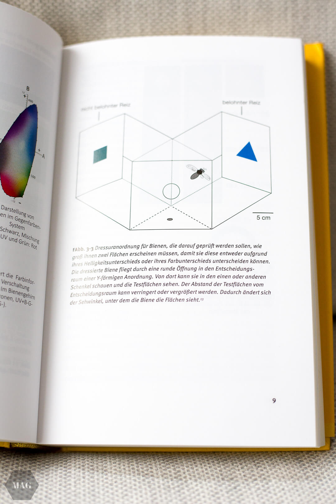 Die Intelligenz der Bienen, Bienen, Intelligenz der Tiere, Honigbienen und Intelligenz, Buch über Bienen, Bienenforschung, Honigbienen Forschung, Sachbuch Bienen, Forschung Bienen, Bienenbuch, Buch über Bienen, Sind Bienen intelligent, Können Bienen denken