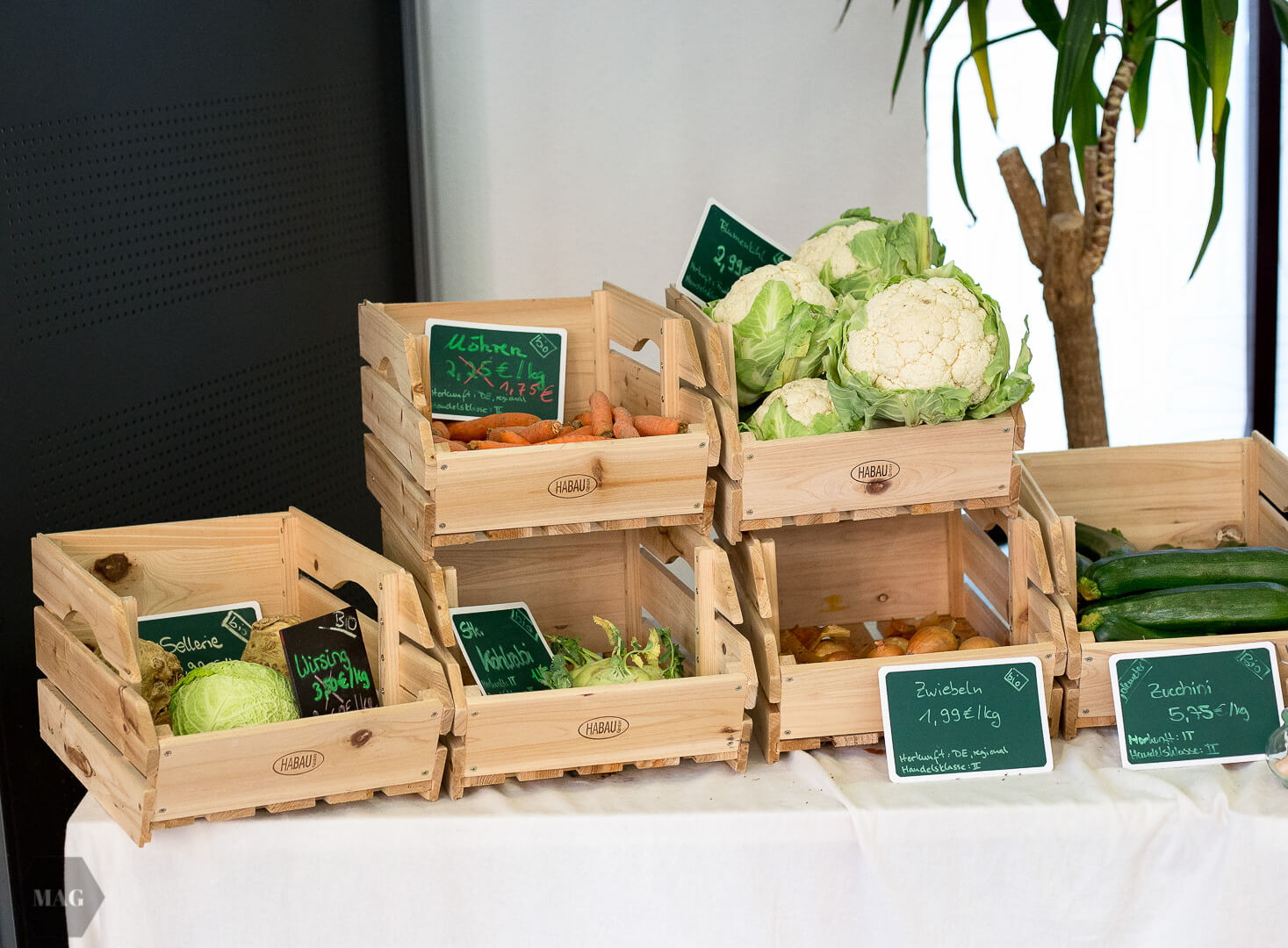 Einzelhandel zum Wohlfüllen, Unverpacktladen Münster, unverpackt einkaufen, unverpackt laden münster, Münster plastikfrei, Münster verpackungsfrei, verpackungsfrei einkaufen, Zero Waste Laden Münster, nachhaltig einkaufen Münster