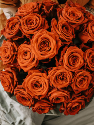 Faire Pflanzen (15 von 22) Faire Pflanzen, faire Pflanzen, nachhaltig Blumen kaufen, faire Blumen, faire Rosen, nachhaltige Blumen, nachhaltige Pflanzen, ökologische Pflanzen, Pflanzenindustrie, pflanzen kaufen nachhaltig