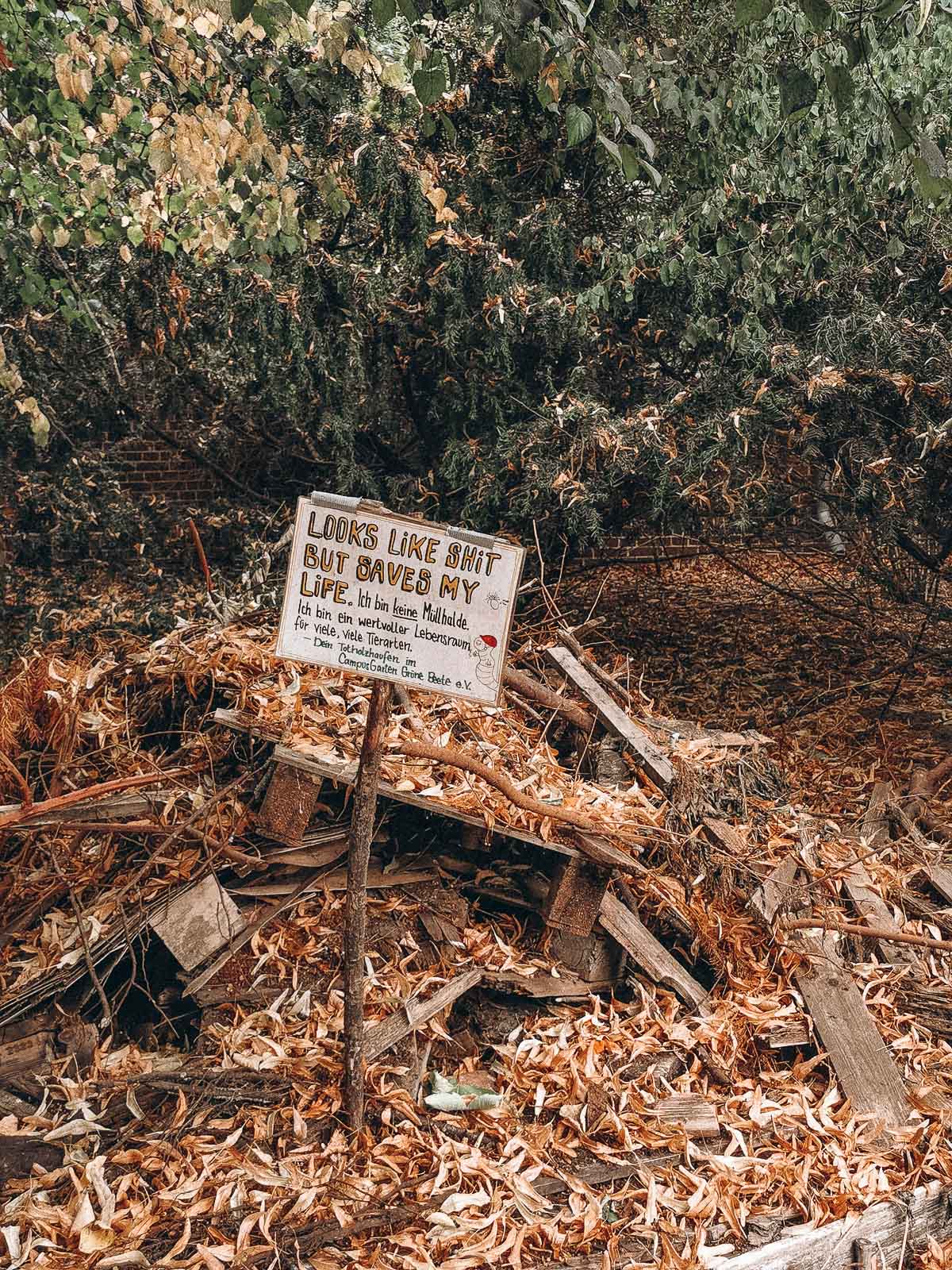 Garten Biodiversität fördern, Biodiversität fördern, Garten nachhaltig, Gärtnern nachhaltig, Münster, Campusgrün