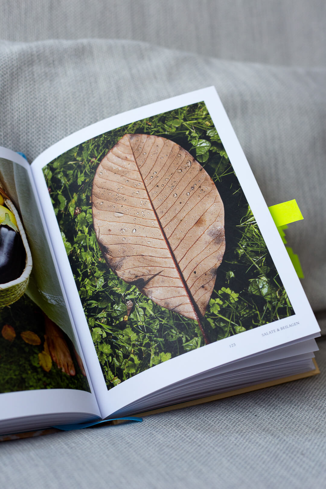La Naturalista, La Naturalista Rezension, einfach leben Buch, Minimalismus Buch, La Naturalista, Xochi Balfour Buch, Xochi Balfour, natürlich leben Buch, Die Natürliche Rezension, natürlich leben