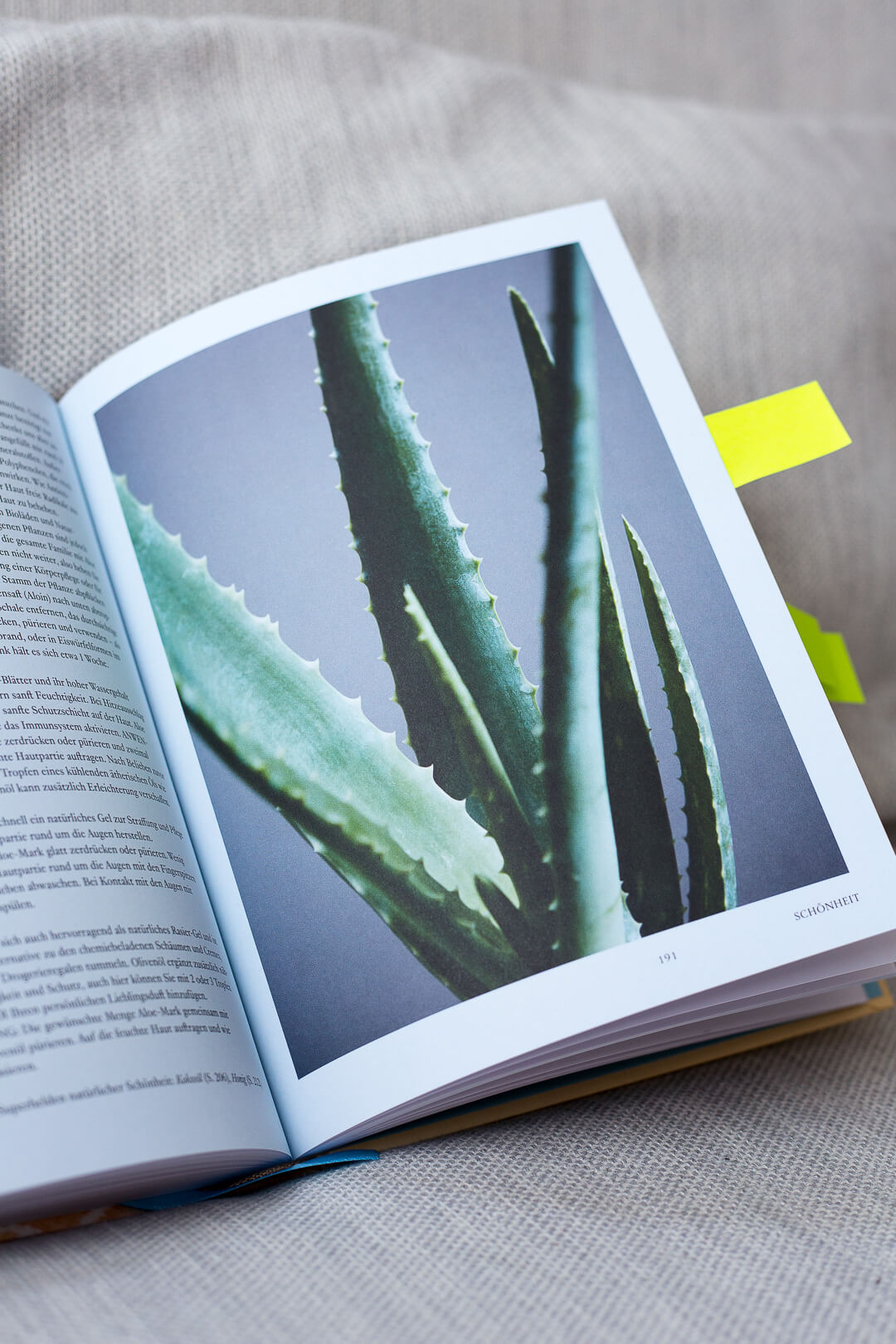 La Naturalista, La Naturalista Rezension, einfach leben Buch, Minimalismus Buch, La Naturalista, Xochi Balfour Buch, Xochi Balfour, natürlich leben Buch, Die Natürliche Rezension, natürlich leben