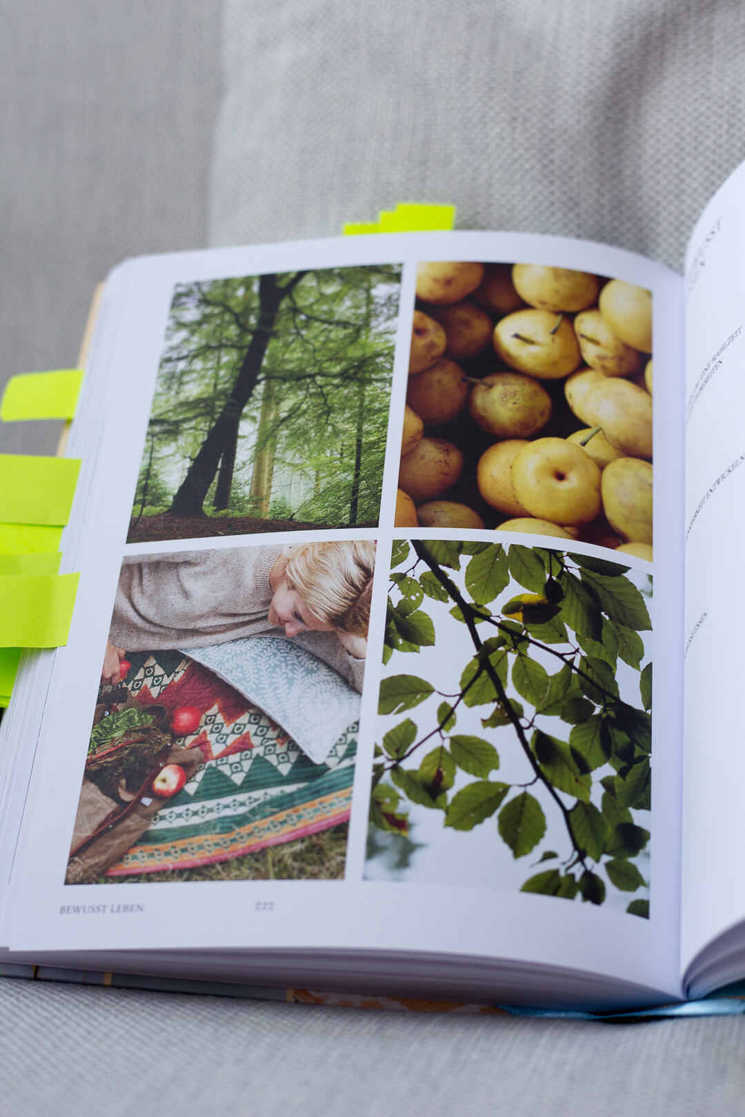 La Naturalista, La Naturalista Rezension, einfach leben Buch, Minimalismus Buch, La Naturalista, Xochi Balfour Buch, Xochi Balfour, natürlich leben Buch, Die Natürliche Rezension, natürlich leben