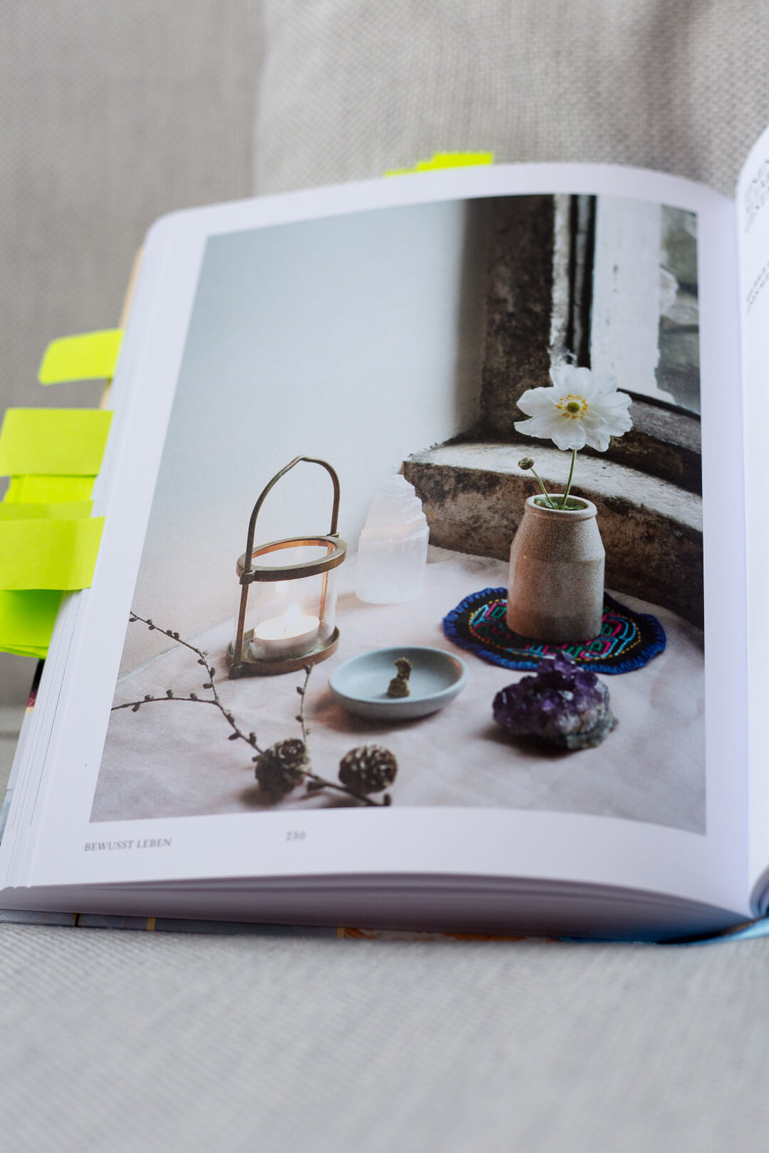 La Naturalista, La Naturalista Rezension, einfach leben Buch, Minimalismus Buch, La Naturalista, Xochi Balfour Buch, Xochi Balfour, natürlich leben Buch, Die Natürliche Rezension, natürlich leben