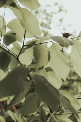 Leinen-Liebe, Leinen, Linen Clothing, Leinen Kleidung fair, Fair Fashion Outfits, Fair Fashion, Eco Fashion Blogger, Eco Fashion Outfits, Leinen Kleidung fair, Leinen Kleidung kaufen, Fair Fashion Blogger, nachhaltige Leinen Kleidung, Öko Kleidung, faire Kleidung