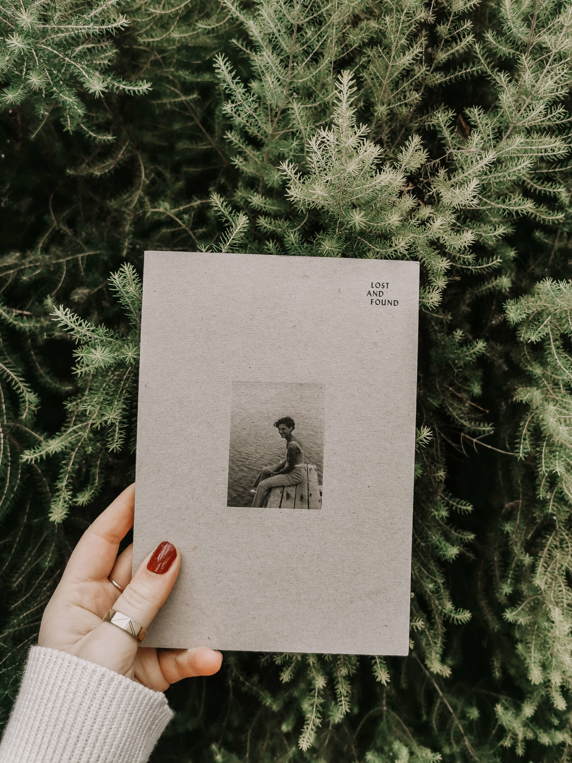 Leserückblick, Lesen, Bücher, Buchempfehlungen, Bücher 2019, gelesene Bücher 2019, Buchrezensionen 2019, Buchempfehlung, Bücherliste, Bücher Feminismus, Bücher Nachhaltigkeit, Buch Tipps
