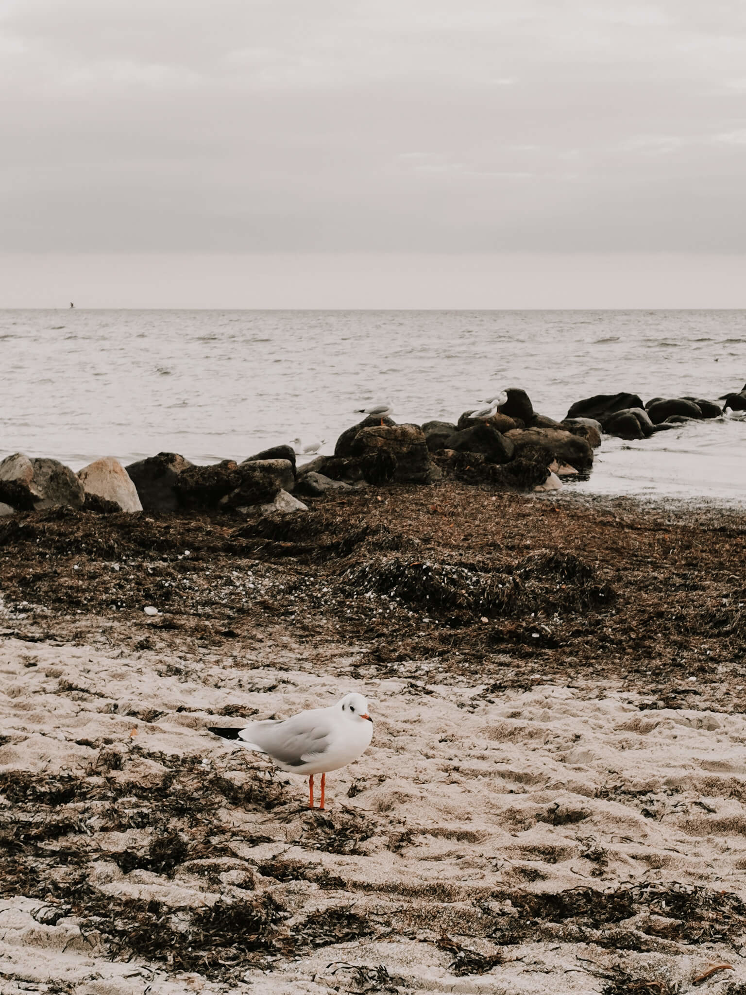Lübecker Bucht, Schleswig Holstein reisen, Lübeck Reisetipps, Lübecker Bucht Reisetipps, Lübecker Bucht vegan reisen, vegan reisen, Ostsee vegan, vegan reisen Ostsee
