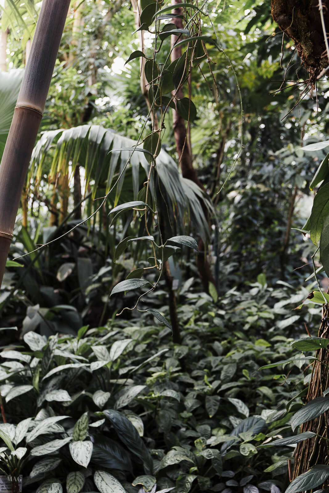 verzichten, Verzicht, Konsumverzicht, verzichten, weniger ist mehr, nachhaltig leben, weniger kaufen, Nachhaltigkeit, nachhaltig blog, Minimalismus blog