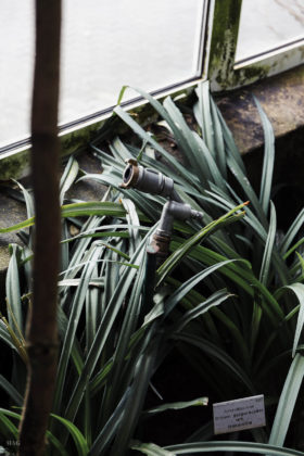 verzichten, Verzicht, Konsumverzicht, verzichten, weniger ist mehr, nachhaltig leben, weniger kaufen, Nachhaltigkeit, nachhaltig blog, Minimalismus blog