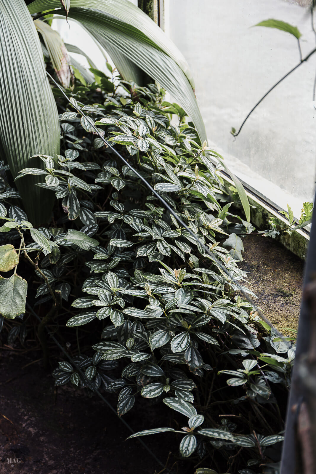 verzichten, Verzicht, Konsumverzicht, verzichten, weniger ist mehr, nachhaltig leben, weniger kaufen, Nachhaltigkeit, nachhaltig blog, Minimalismus blog