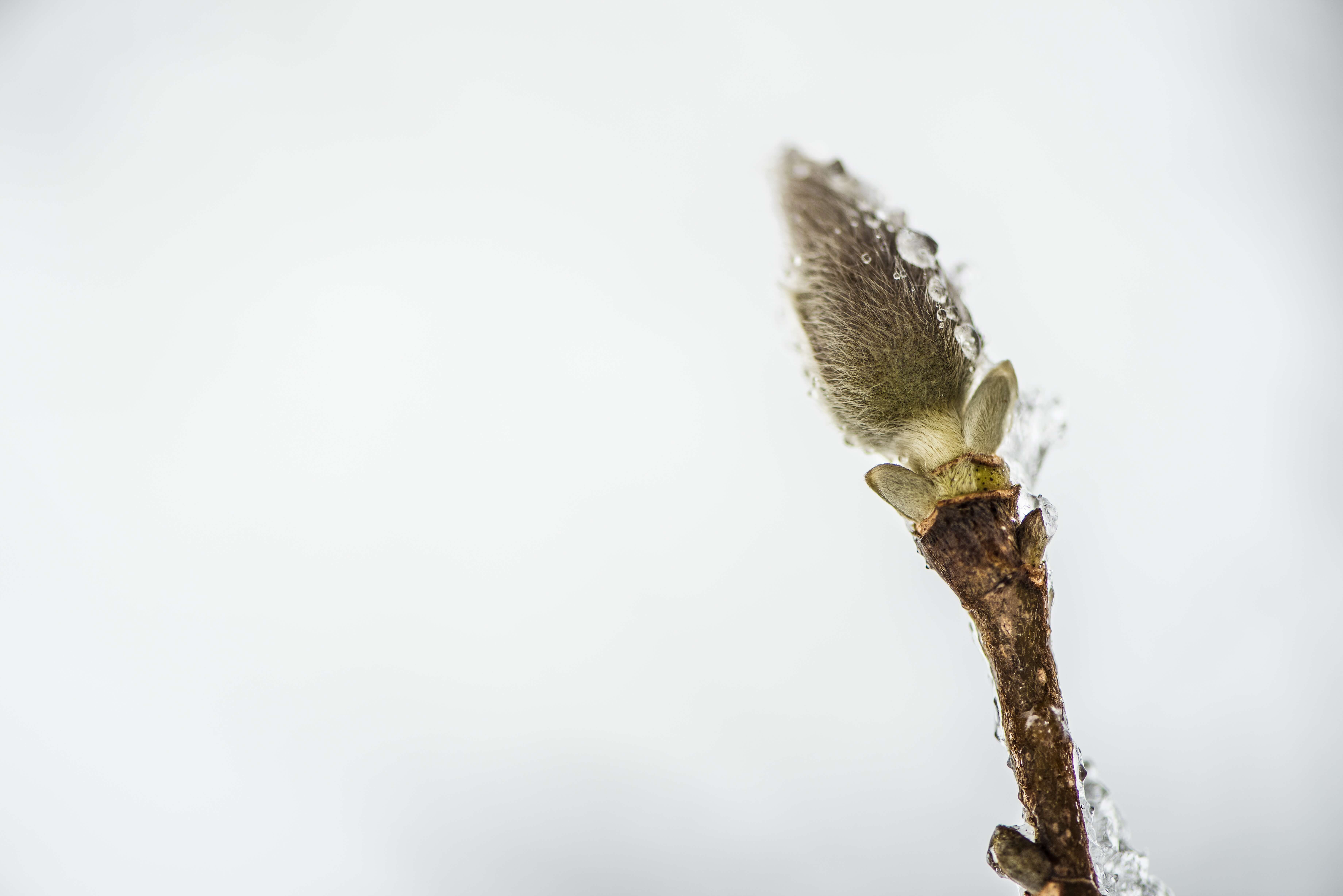 Minimalismus Blog, Minimalist werden, Minimalismus Vorteile, Wie der Minimalismus mich verändert hat, Was bringt Minimalismus