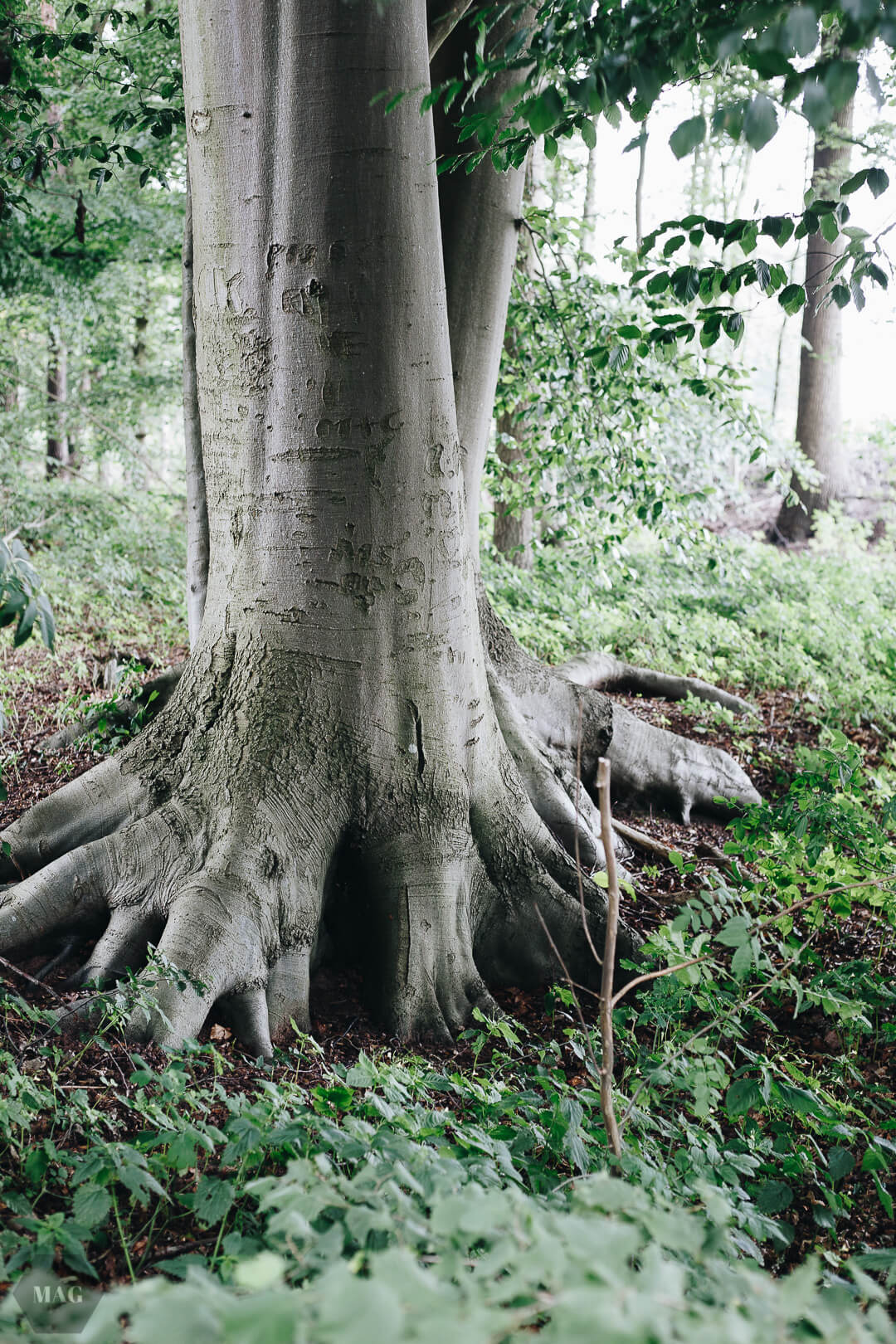 NAbio Suppen, NAbio to go, Suppen to go, NAbio, Suppen, vegane Suppen to go, Suppen bio to go, NAbio Suppen, NAbio Produkte, NAbio Suppen in Bioqualität