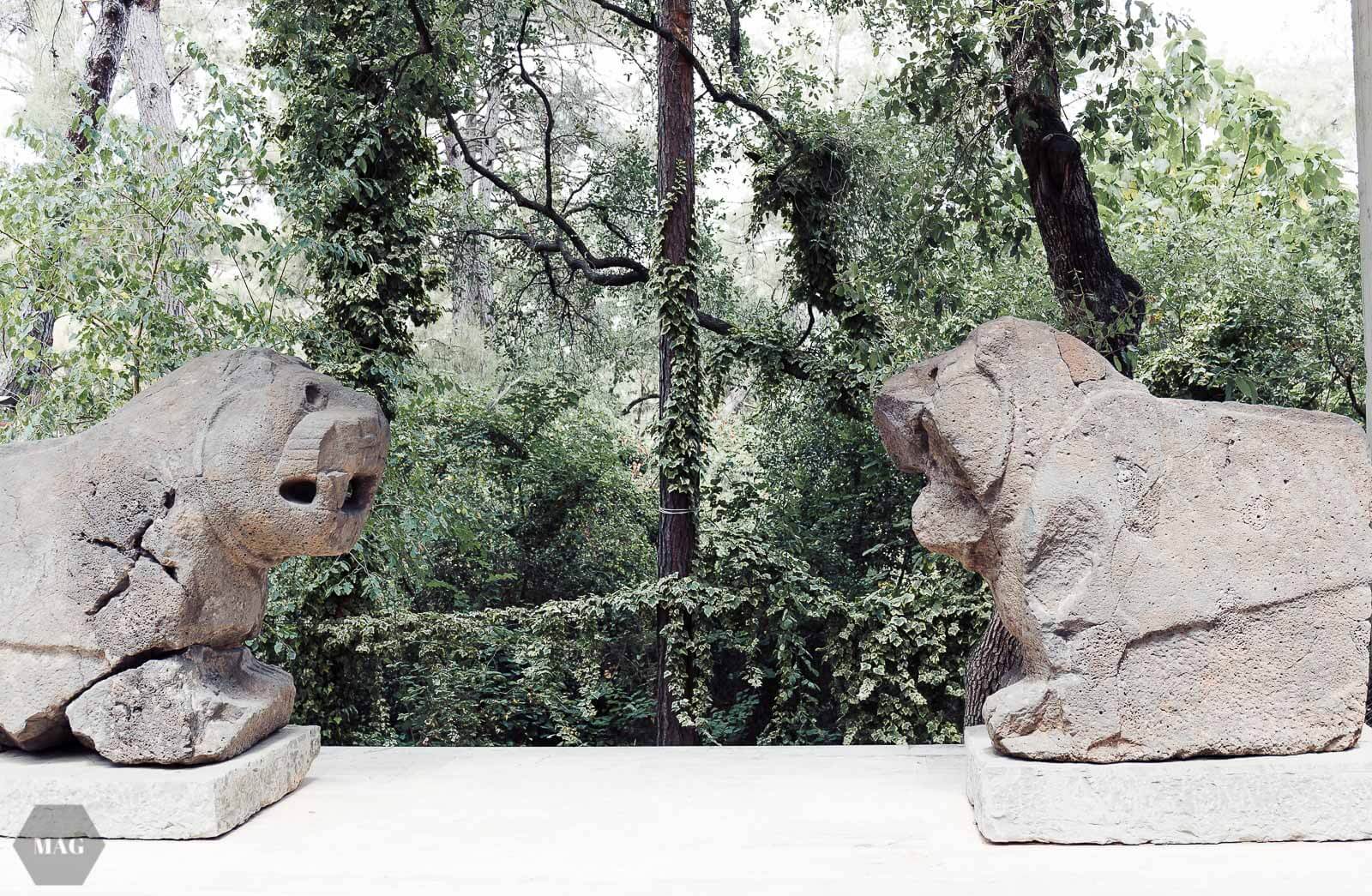 nachhaltig reisen, türkei reisen, reisen in die türkei, türkei reisen nachhaltig, weniger reisen dafür besser, nachhaltig reisen, reisen