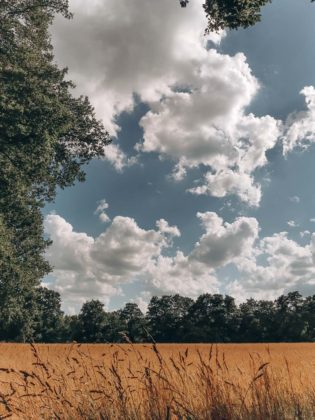 Naturhäuschen_ (29 von 90)