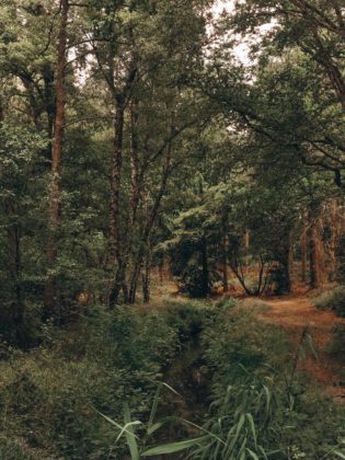 Naturhäuschen_ (60 von 90)