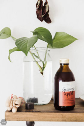urban jungle, pflanzen zuhause, pflanzen für Anfänger, pflanzen Anfänger pflege, pflanzen kaufen nachhaltig, pflanzen online kaufen, pflanzen pflegen Anfänger, schwarzer Daumen Zimmerpflanzen, Zimmerpflanzen Anfänger, urban jungle bloggers