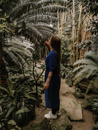 Privilegien, Intersektional, Intersektionaler Veganismus, Veganismus, Vegan, Nachhaltigkeit, Privilegien, Privilegiert Mittelschicht, weiße Mittelstandsfrau privilegiert, ist nachhaltig teuer, ist Nachhaltigkeit teuer