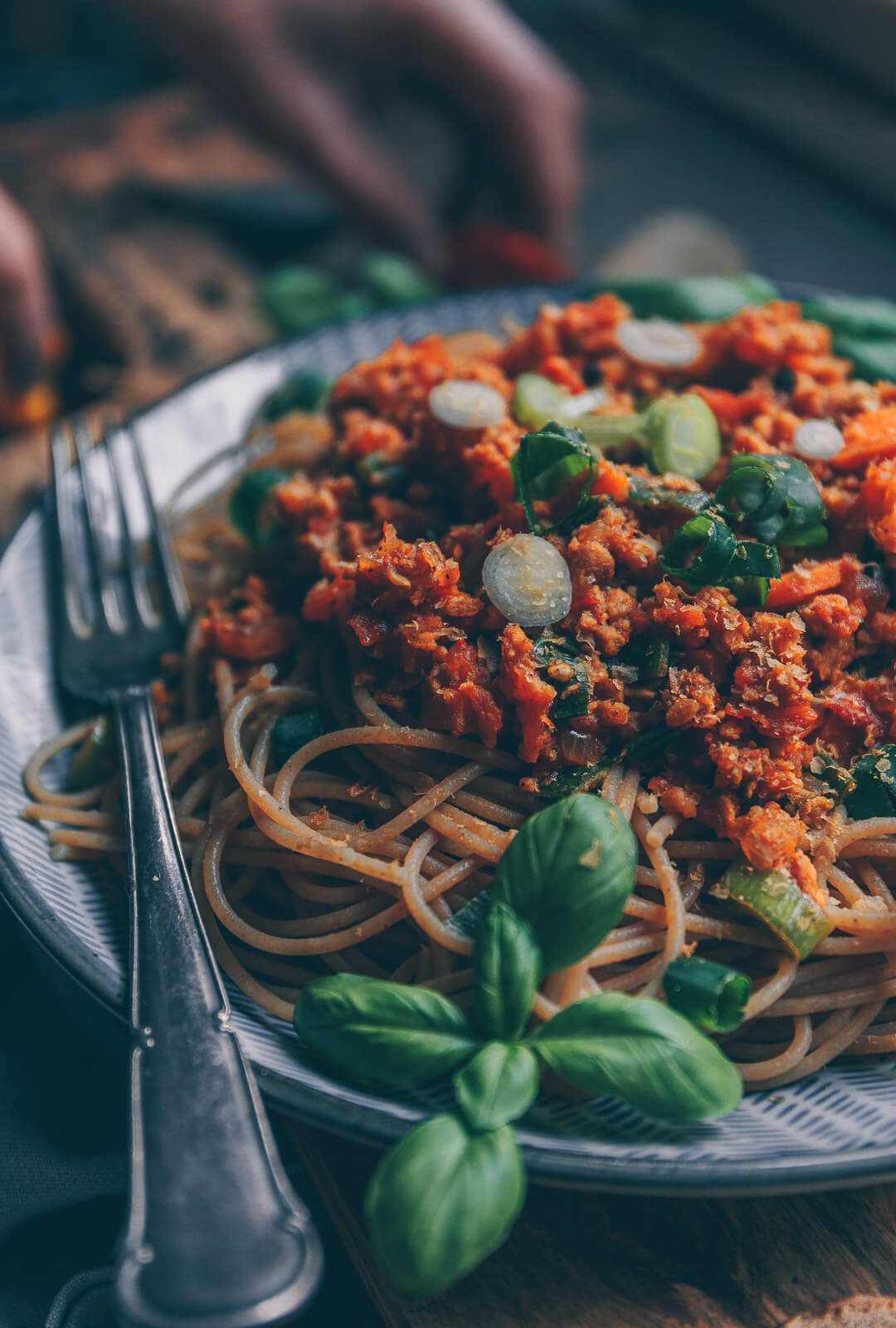 Spaghetti mit Bolognese, Bolognese vegan, Bolo vegan Rezept, vegane Bolognese Rezept, Spaghetti mit veganer Bolognese Rezept, Rezept vegane Nudelsoße, Vegane Rezepte, veganer Blog