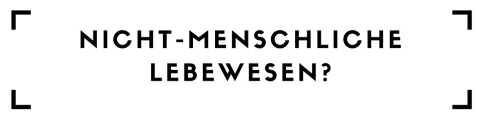 Tier, Begriff, Sprache