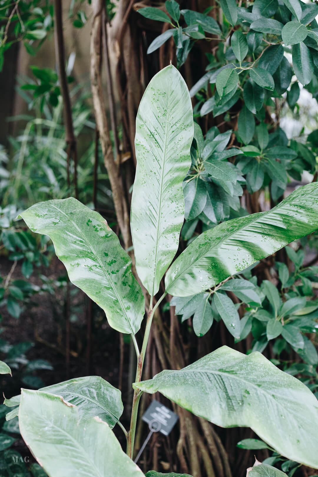 nachhaltig leben, nachhaltig leben wie, nachhaltig leben tipps, nachhaltig leben anfangen, tschüss, schweinehund, anfangen mit nachhaltigem leben, nachhaltig leben aber wie