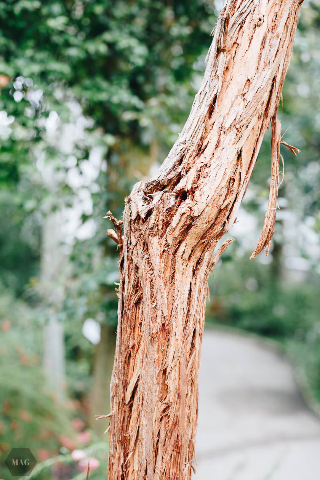 nachhaltig leben, nachhaltig leben wie, nachhaltig leben tipps, nachhaltig leben anfangen, tschüss, schweinehund, anfangen mit nachhaltigem leben, nachhaltig leben aber wie