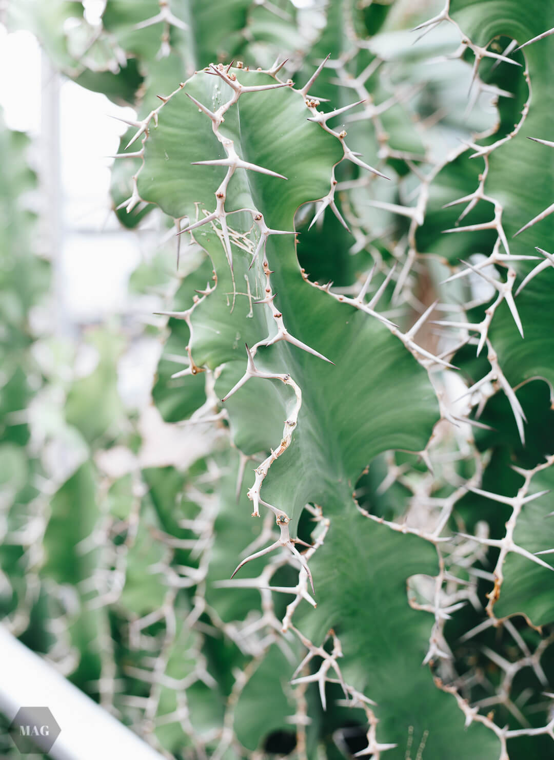 nachhaltig leben, nachhaltig leben wie, nachhaltig leben tipps, nachhaltig leben anfangen, tschüss, schweinehund, anfangen mit nachhaltigem leben, nachhaltig leben aber wie