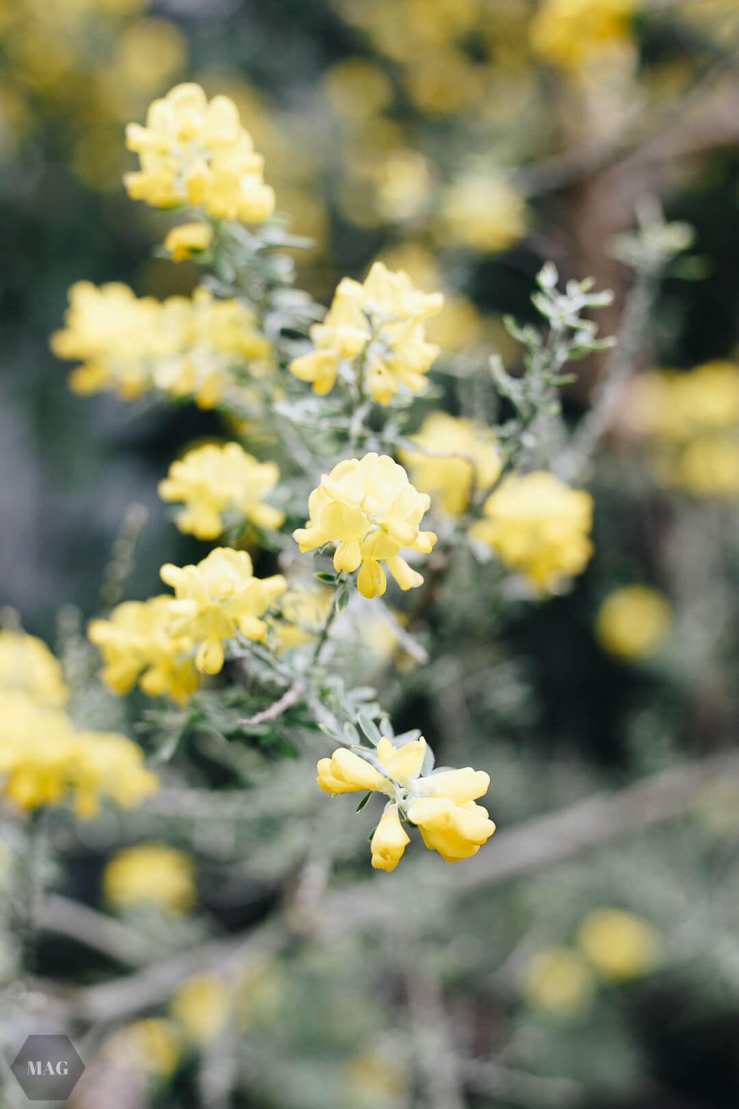 nachhaltig leben, nachhaltig leben wie, nachhaltig leben tipps, nachhaltig leben anfangen, tschüss, schweinehund, anfangen mit nachhaltigem leben, nachhaltig leben aber wie