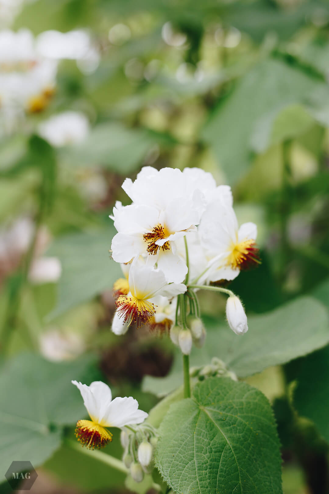 nachhaltig leben, nachhaltig leben wie, nachhaltig leben tipps, nachhaltig leben anfangen, tschüss, schweinehund, anfangen mit nachhaltigem leben, nachhaltig leben aber wie