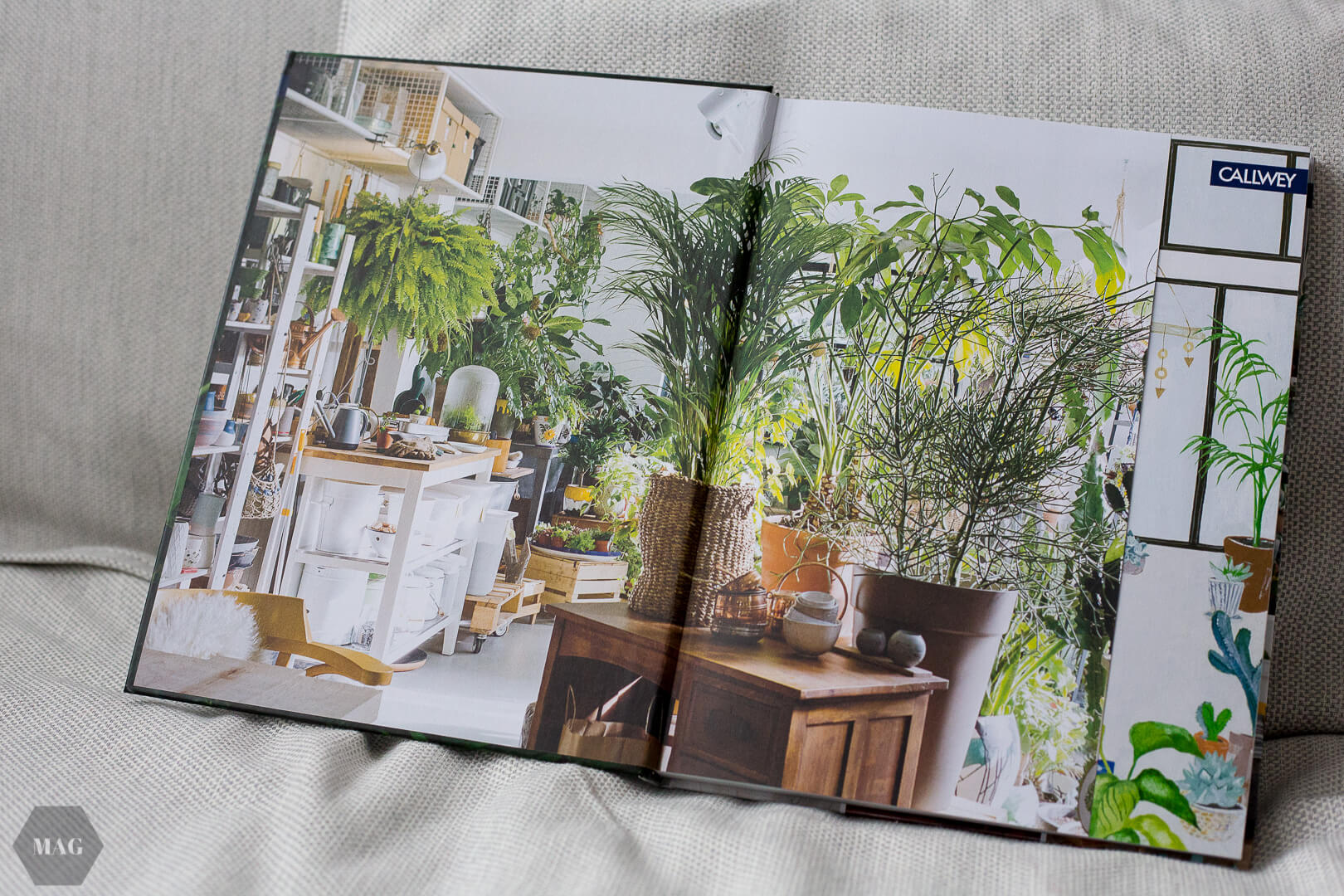 urban jungle bloggers, urban jungle bloggers buch, wohnen in grün, wohnen in grün buch, rezension urban jungle bloggers, wohnen in grün dekorieren und stylen mit pflanzen, wohnen in grün callwey verlag