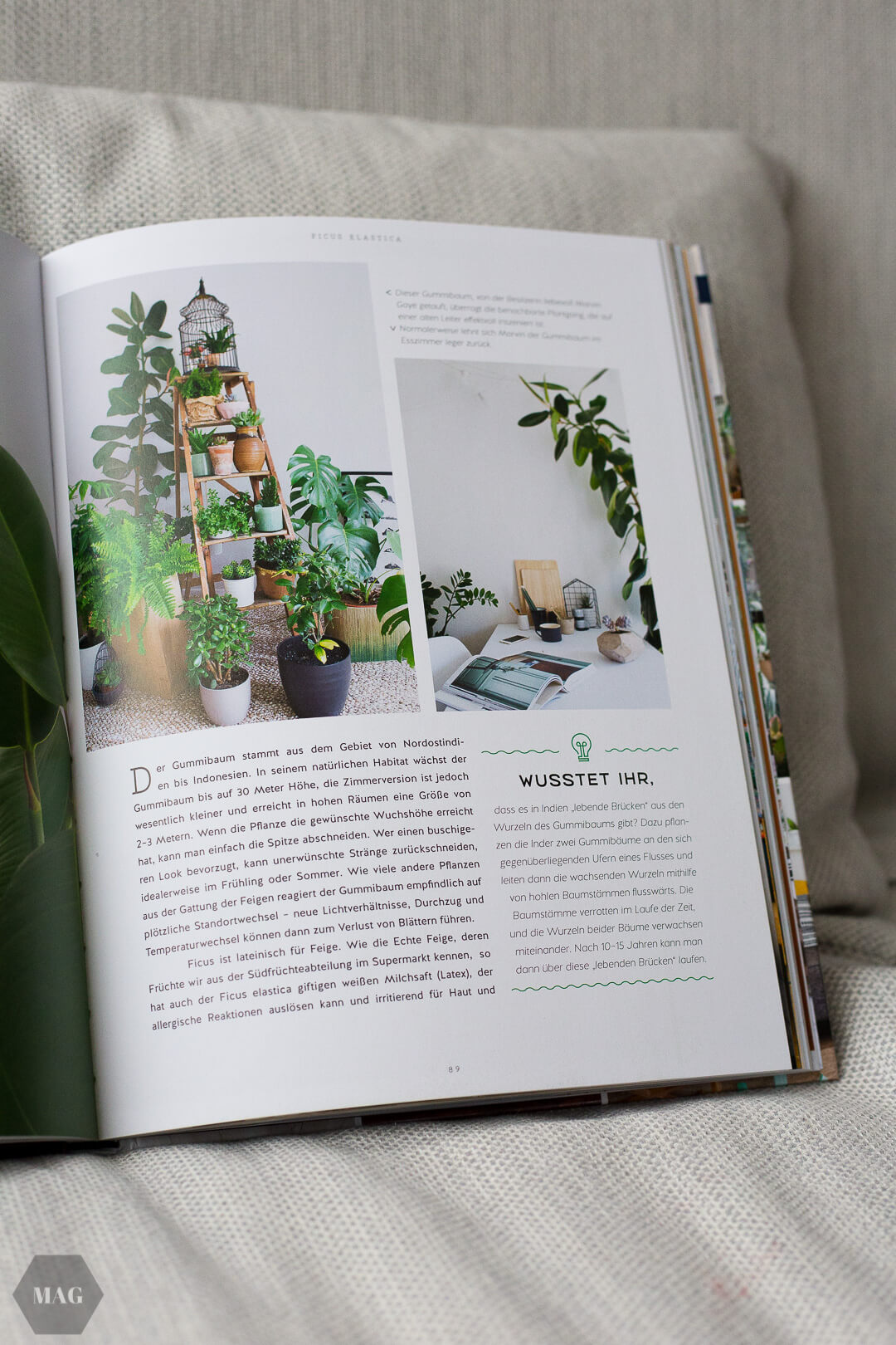 urban jungle bloggers, urban jungle bloggers buch, wohnen in grün, wohnen in grün buch, rezension urban jungle bloggers, wohnen in grün dekorieren und stylen mit pflanzen, wohnen in grün callwey verlag