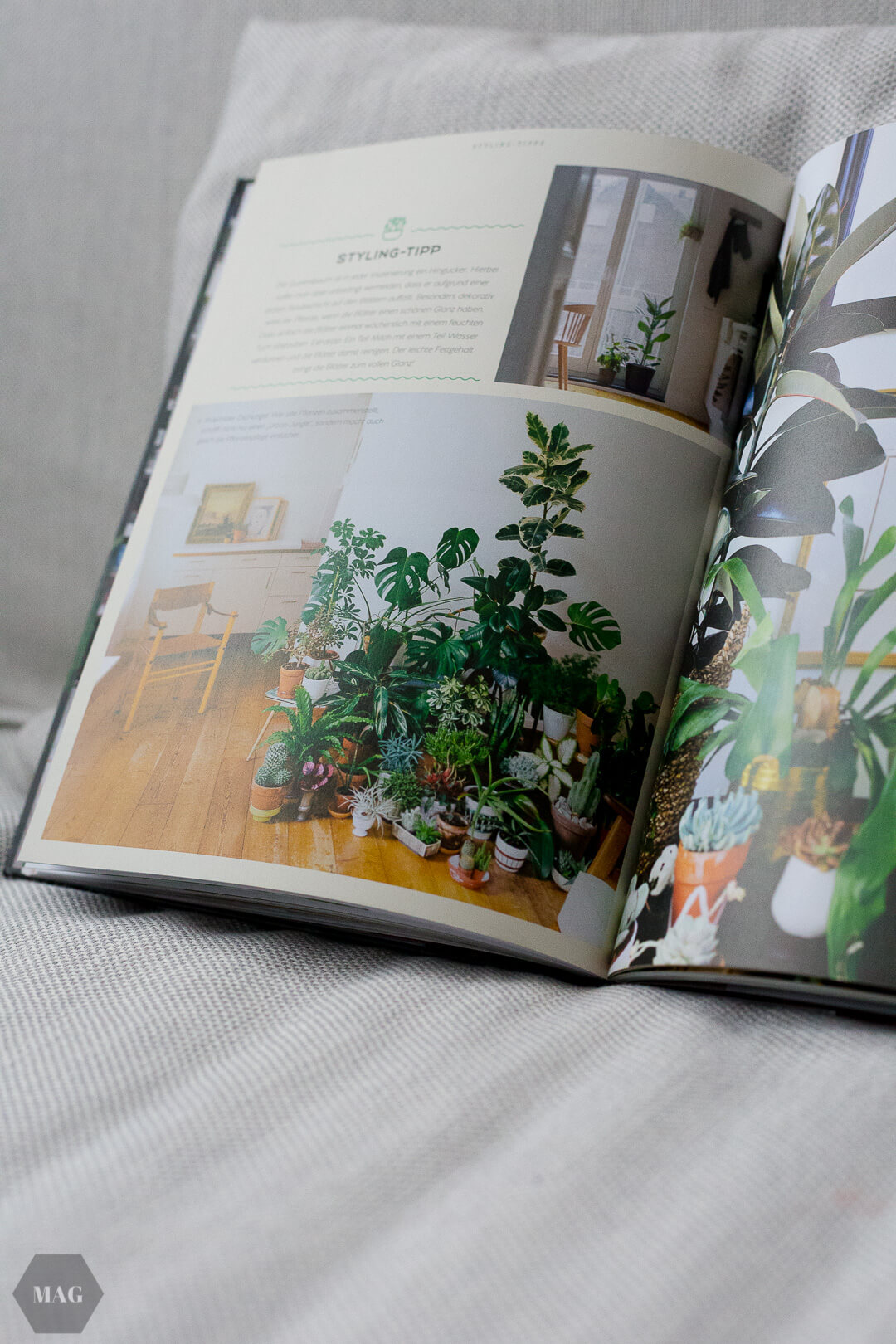 urban jungle bloggers, urban jungle bloggers buch, wohnen in grün, wohnen in grün buch, rezension urban jungle bloggers, wohnen in grün dekorieren und stylen mit pflanzen, wohnen in grün callwey verlag