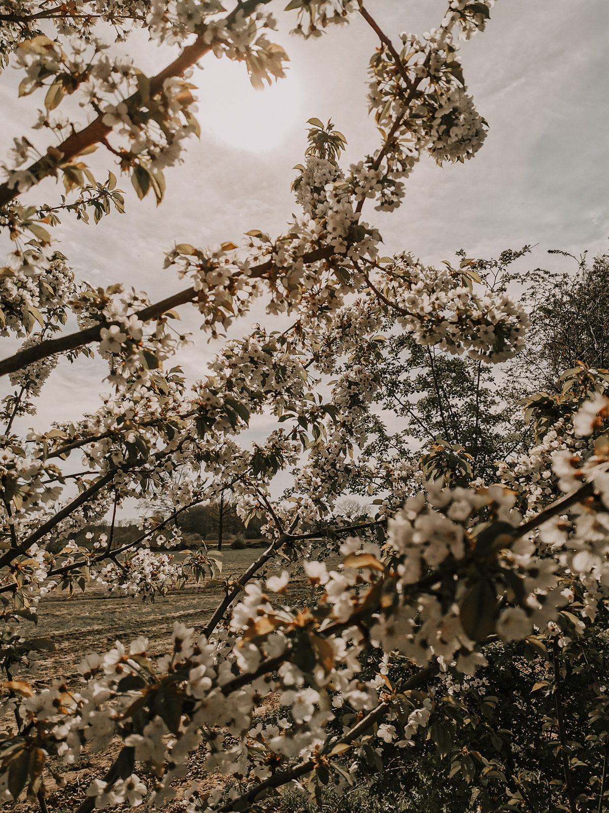 Valle ō Valle, Valle o Valle, Kimonos Deutschland kaufen, Kimono fair fashion, langer cardigan fair fashion, faire mode, fair fashion deutschland, fair fashion Österreich, faire mode online kaufen, faire mode große größen