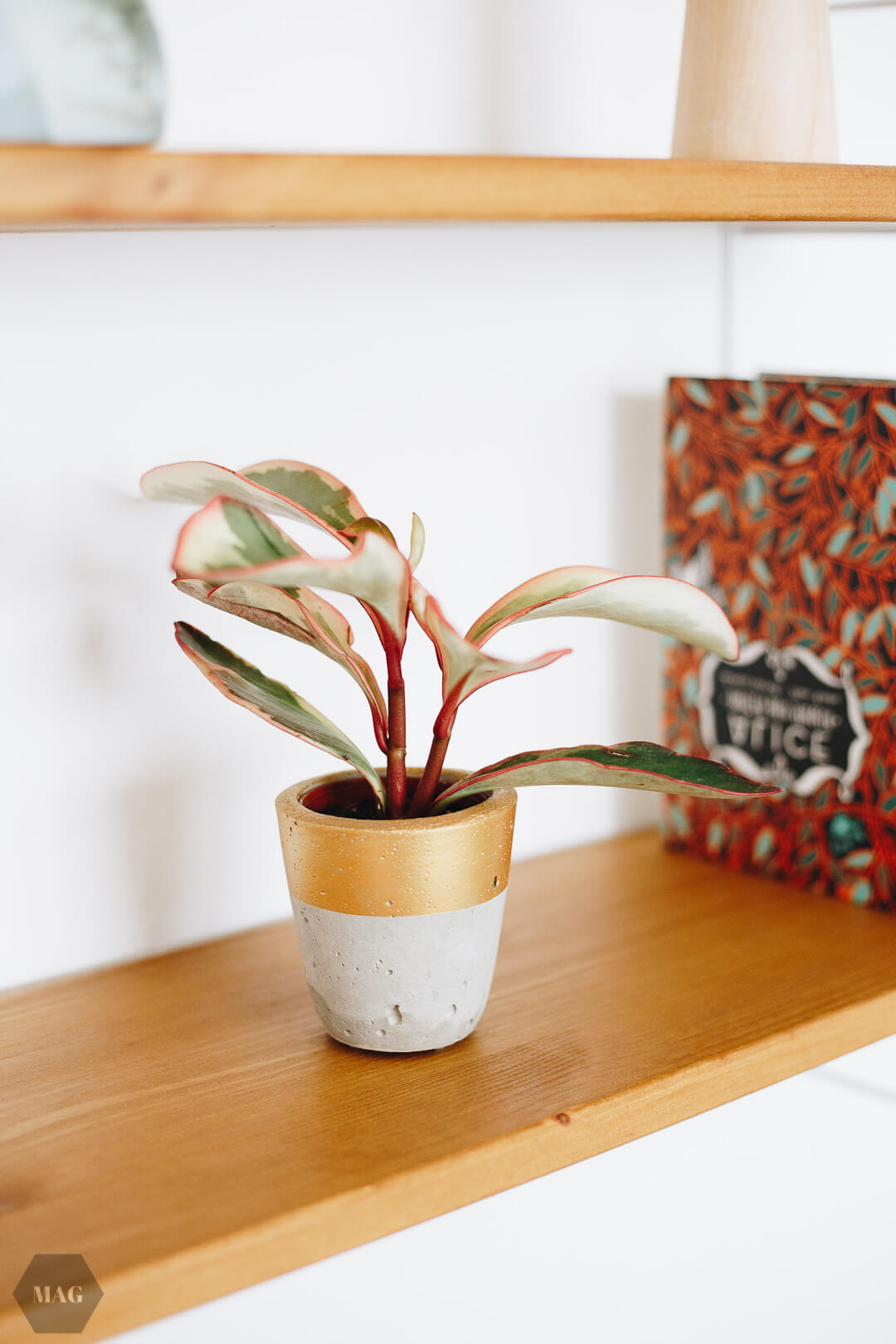 Vida_Wood, Vidawood Berlin, vidawood, Bücher, Lieblingsbücher, nachhaltige Regale, Bücherregal, Recyclete Regale, Regale aus Berlin, Manufaktur Regale, Manufaktur Berlin, Vidawood Etsy