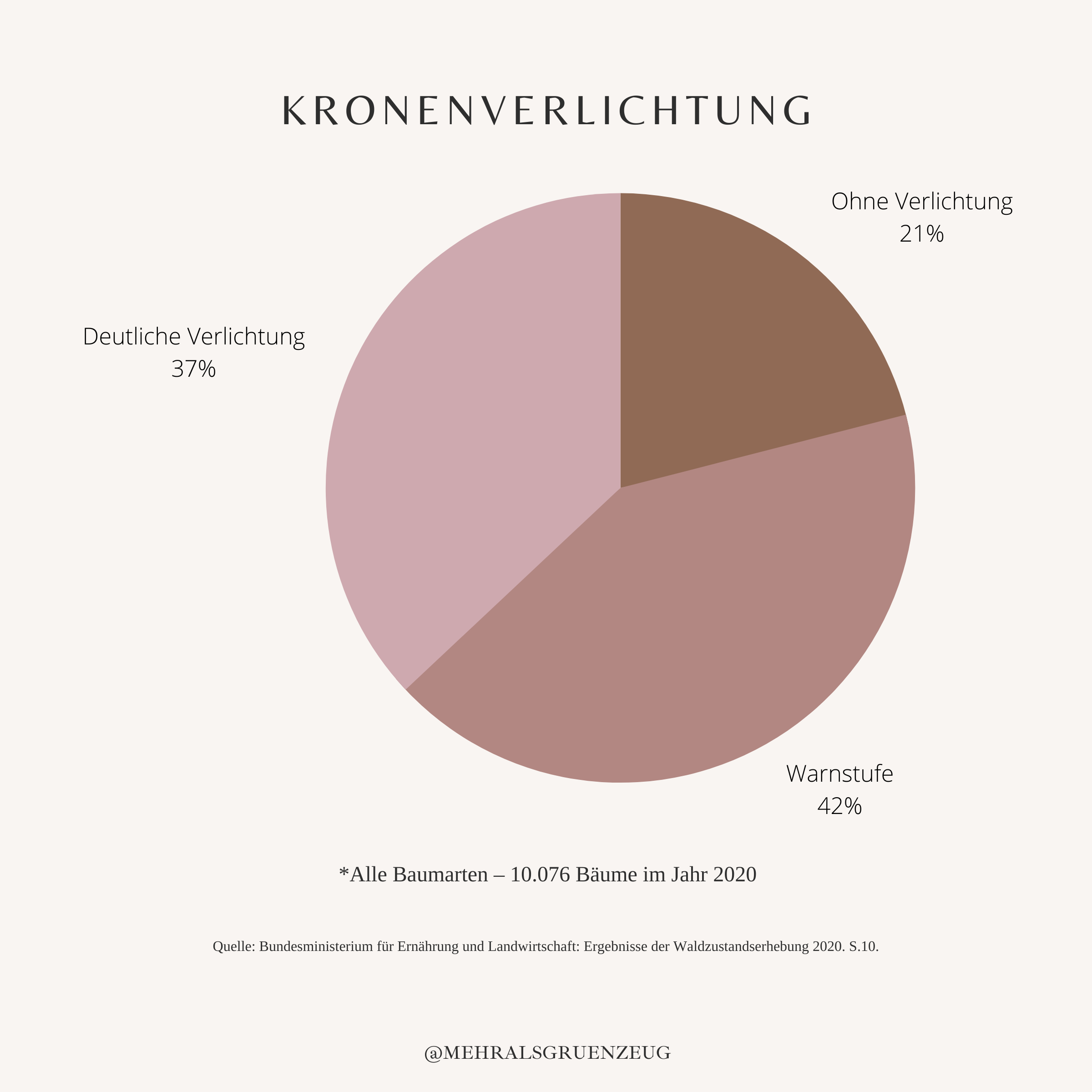 Wald, Kronenverlichtung Wald, Waldzustand Deutschland, Deutsche Wälder Klima, Klimakrise Wälder