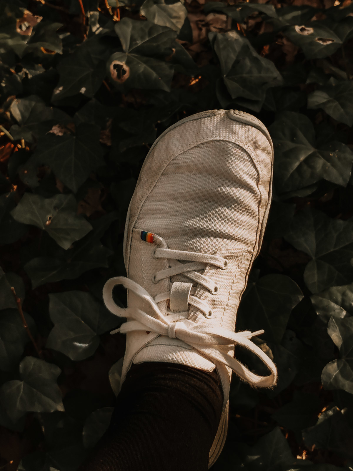 Wildling, Wildling Shoes, Wildlinge im Test, Wildling Schuhe Erfahrungsbericht, Wildling Erfahrungsbericht, Minimalschuhe, Minimalschuhe Erfahrungsbericht, Minimalschuhe Test, Minimalschuhe, Minimalschuhen