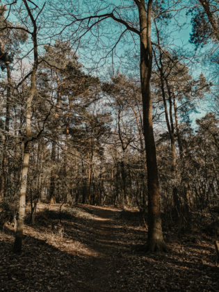 Wildling Erfahrungsbericht (66 von 67)