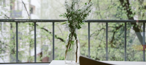 ausmisten, aufräumen, zero waste, reduce, überflüssiges ausmisten