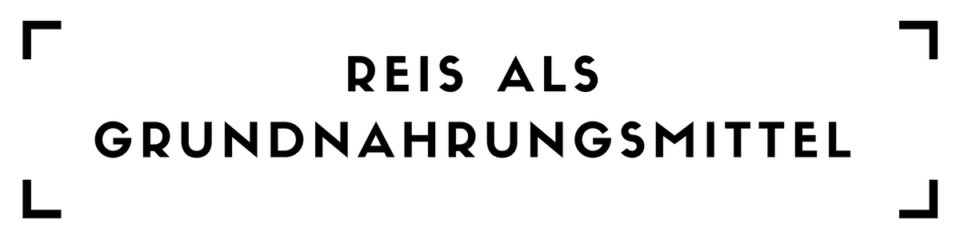 reisanbau, reis, gepa, biologischer reisanbau