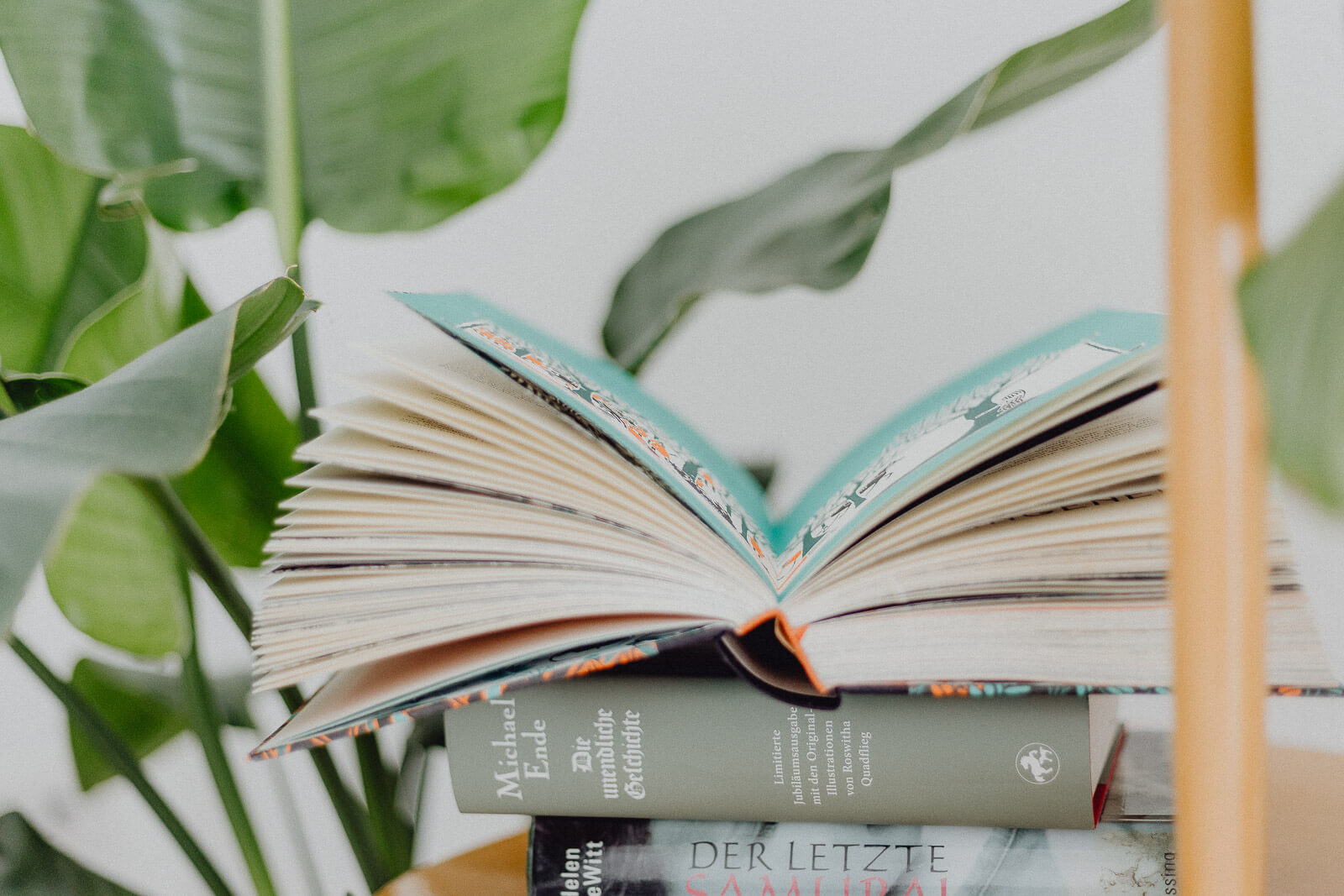 Bücherliste, Leseliste, Buchempfehlung, Lesen, Lese-Empfehlungen, Leseninspiration, Buchblogger, Bücher für den Sommer, Sommerlektüre, Sommerbücher, Sommerleseliste, Sommer Lesen Bücher, Bücher vegan, Bücher Klima, Bücher Nachhaltigkeit, Bücher Gesellschaft, Bücherliste