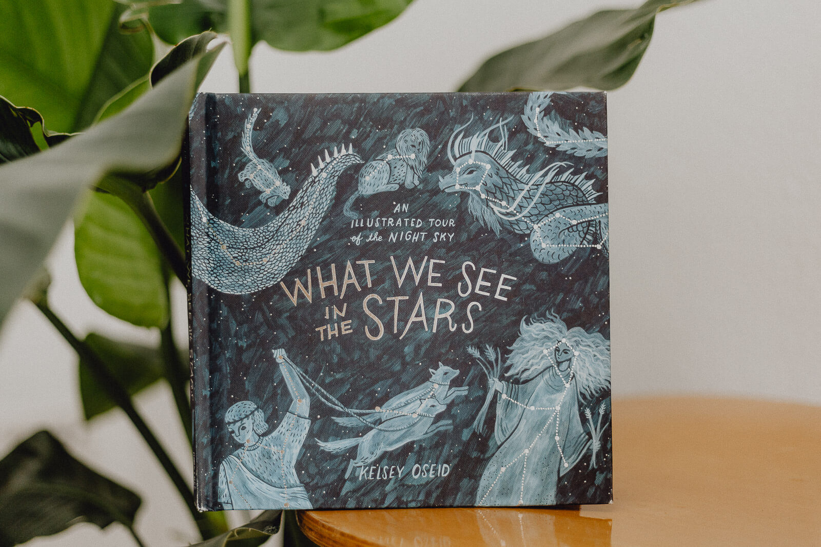 Bücherliste, Leseliste, Buchempfehlung, Lesen, Lese-Empfehlungen, Leseninspiration, Buchblogger, Bücher für den Sommer, Sommerlektüre, Sommerbücher, Sommerleseliste, Sommer Lesen Bücher, Bücher vegan, Bücher Klima, Bücher Nachhaltigkeit, Bücher Gesellschaft, Bücherliste