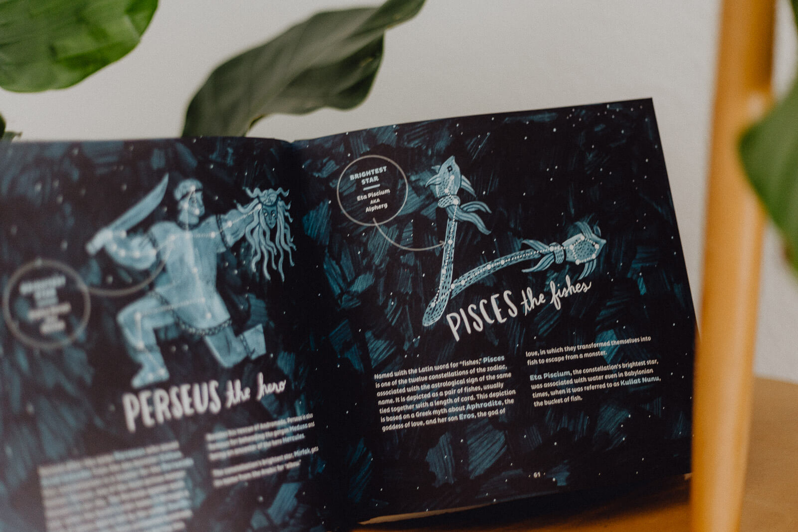 Bücherliste, Leseliste, Buchempfehlung, Lesen, Lese-Empfehlungen, Leseninspiration, Buchblogger, Bücher für den Sommer, Sommerlektüre, Sommerbücher, Sommerleseliste, Sommer Lesen Bücher, Bücher vegan, Bücher Klima, Bücher Nachhaltigkeit, Bücher Gesellschaft, Bücherliste